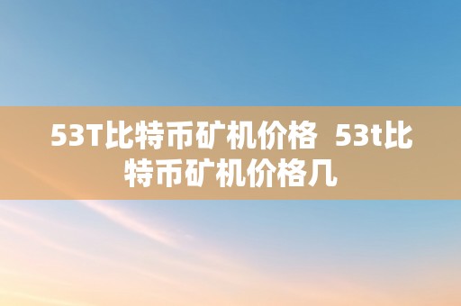 53T比特币矿机价格  53t比特币矿机价格几