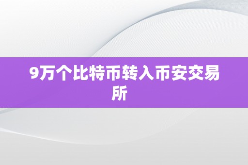 9万个比特币转入币安交易所  