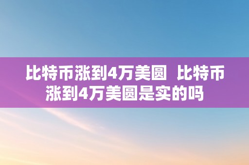 比特币涨到4万美圆  比特币涨到4万美圆是实的吗