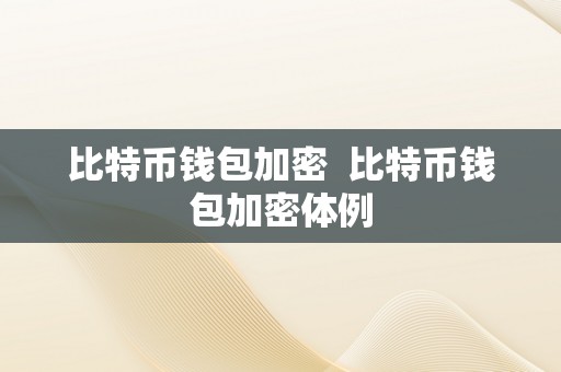 比特币钱包加密  比特币钱包加密体例