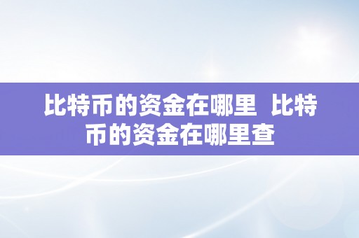 比特币的资金在哪里  比特币的资金在哪里查