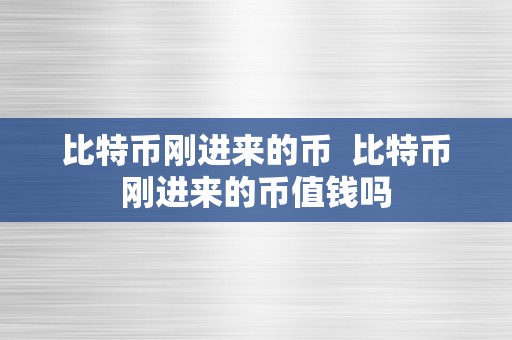 比特币刚进来的币  比特币刚进来的币值钱吗