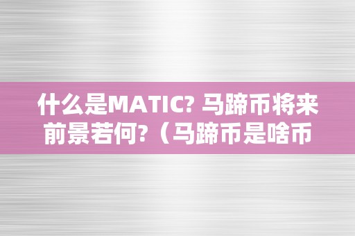 什么是MATIC? 马蹄币将来前景若何?（马蹄币是啥币种）