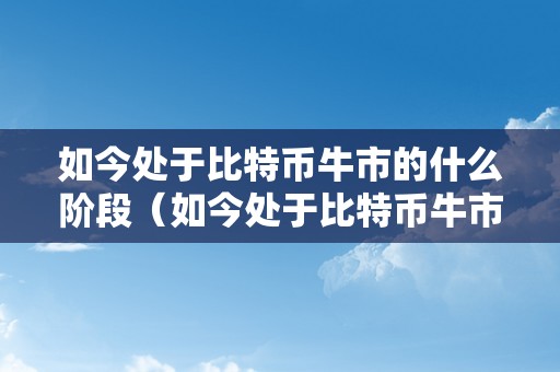 如今处于比特币牛市的什么阶段（如今处于比特币牛市的什么阶段了）