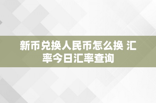 新币兑换人民币怎么换 汇率今日汇率查询