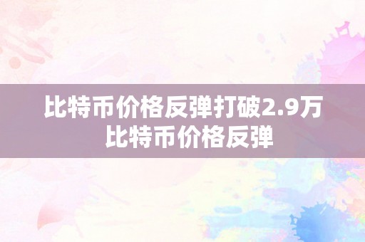 比特币价格反弹打破2.9万  比特币价格反弹