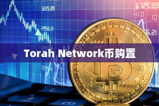 Torah Network币购置
