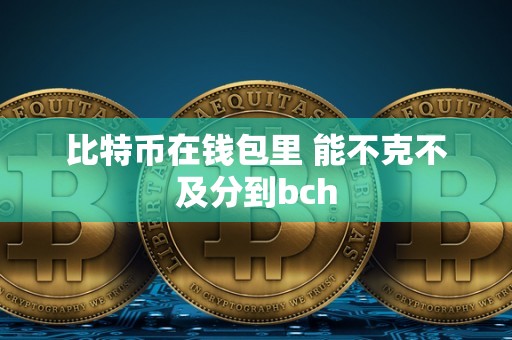 比特币在钱包里 能不克不及分到bch