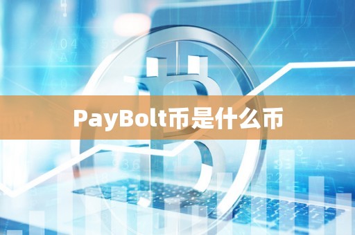 PayBolt币是什么币