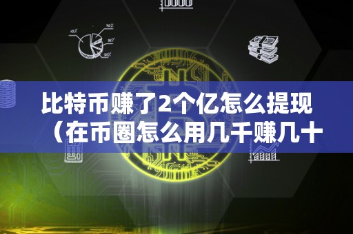 比特币赚了2个亿怎么提现（在币圈怎么用几千赚几十万）