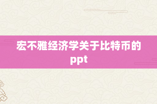 宏不雅经济学关于比特币的ppt