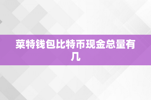 菜特钱包比特币现金总量有几