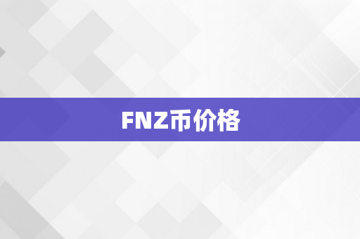 FNZ币价格