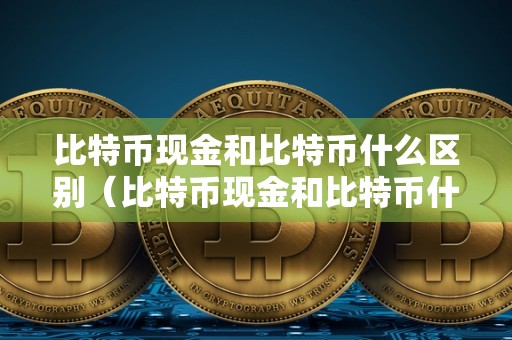 比特币现金和比特币什么区别（比特币现金和比特币什么区别啊）