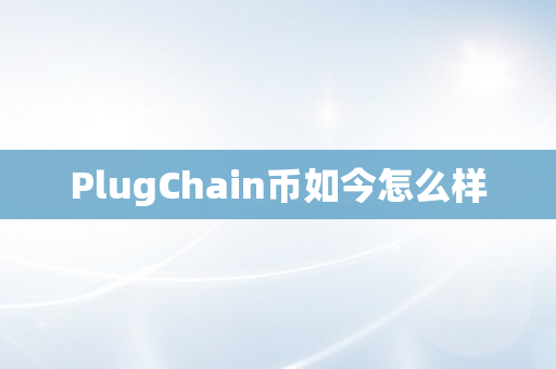 PlugChain币如今怎么样