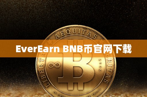 EverEarn BNB币官网下载