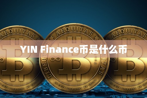 YIN Finance币是什么币