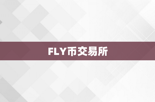 FLY币交易所