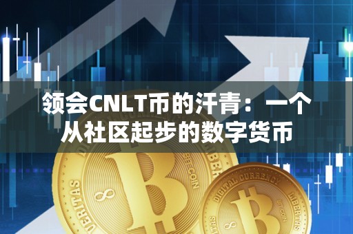 领会CNLT币的汗青：一个从社区起步的数字货币