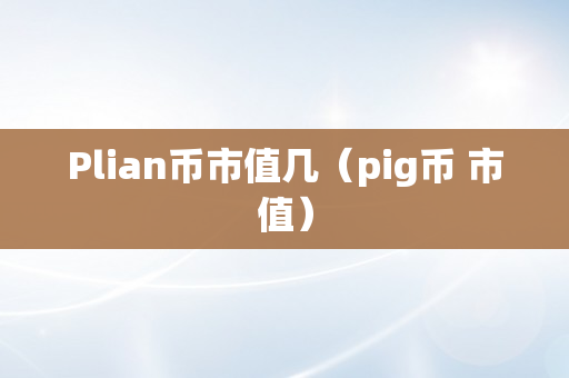 Plian币市值几（pig币 市值）