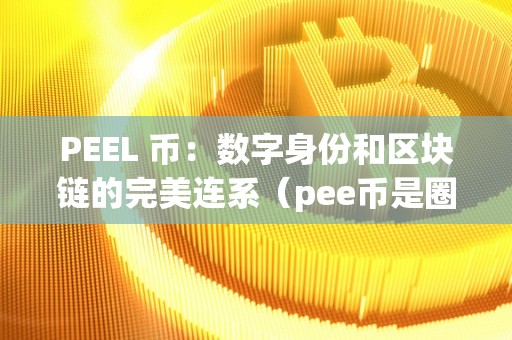 PEEL 币：数字身份和区块链的完美连系（pee币是圈套吗）