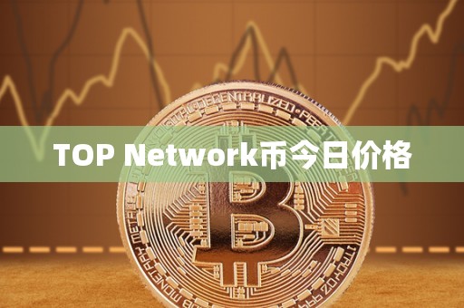 TOP Network币今日价格