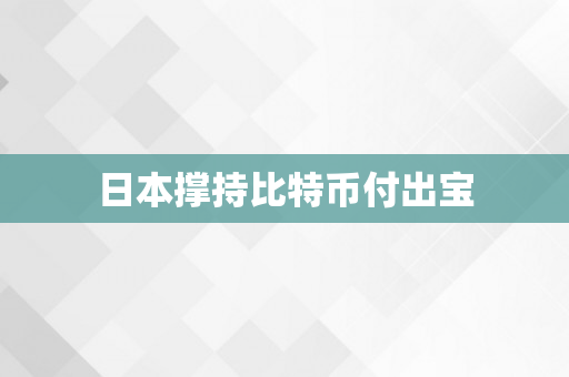 日本撑持比特币付出宝