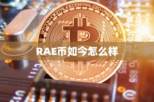 RAE币如今怎么样