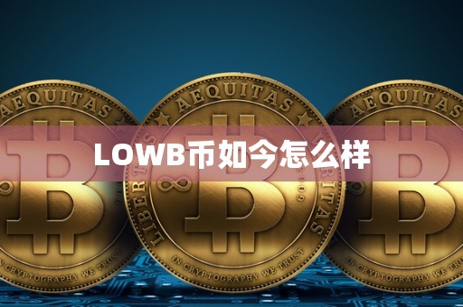 LOWB币如今怎么样