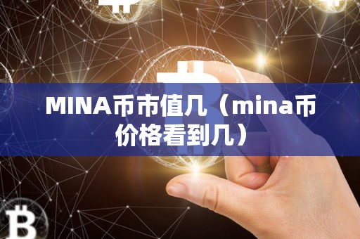 MINA币市值几（mina币价格看到几）