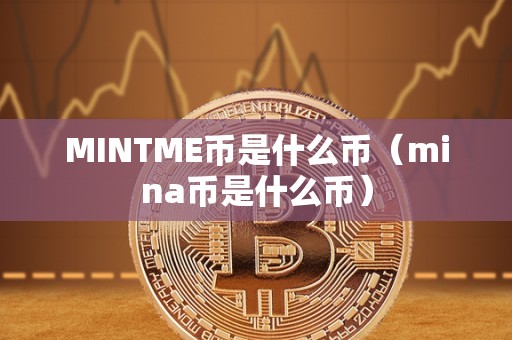 MINTME币是什么币（mina币是什么币）