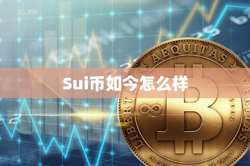 Sui币如今怎么样