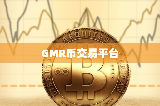 GMR币交易平台