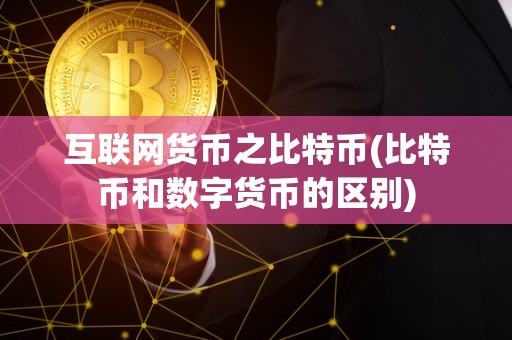 互联网货币之比特币(比特币和数字货币的区别)