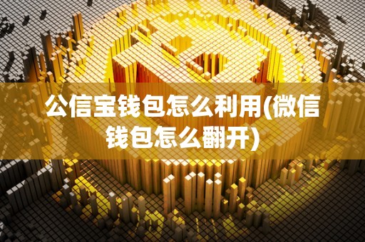 公信宝钱包怎么利用(微信钱包怎么翻开)