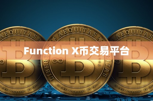 Function X币交易平台