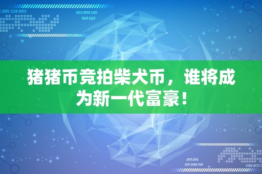 猪猪币竞拍柴犬币，谁将成为新一代富豪！