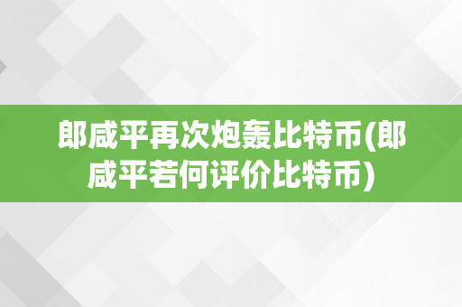 郎咸平再次炮轰比特币(郎咸平若何评价比特币)