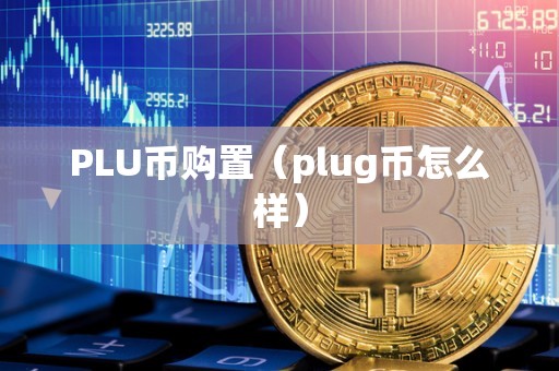 PLU币购置（plug币怎么样）