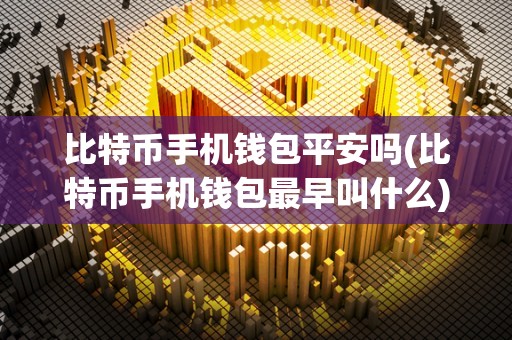 比特币手机钱包平安吗(比特币手机钱包最早叫什么)