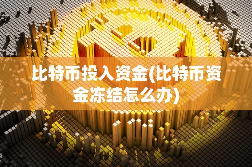 比特币投入资金(比特币资金冻结怎么办)