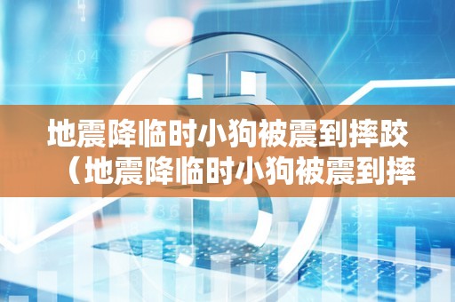 地震降临时小狗被震到摔跤（地震降临时小狗被震到摔跤怎么办）