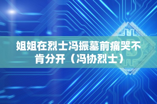 姐姐在烈士冯振墓前痛哭不肯分开（冯协烈士）