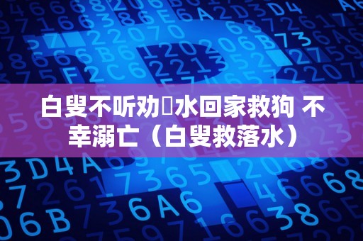 白叟不听劝蹚水回家救狗 不幸溺亡（白叟救落水）