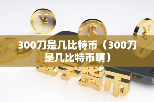 300刀是几比特币（300刀是几比特币啊）