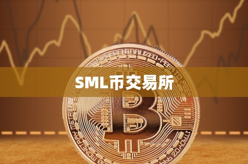 SML币交易所