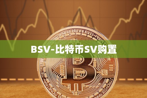 BSV-比特币SV购置