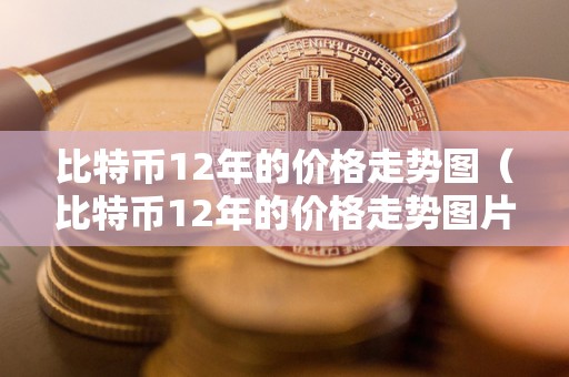 比特币12年的价格走势图（比特币12年的价格走势图片）