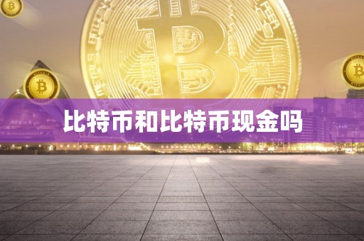 比特币和比特币现金吗