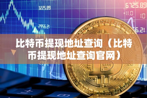 比特币提现地址查询（比特币提现地址查询官网）